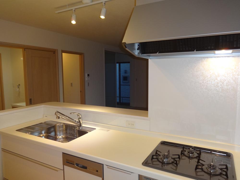 Kitchen. Indoor (11 May 2013) Shooting