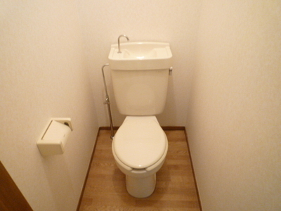 Toilet. Toilet (reference photograph of another in Room)