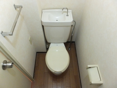 Toilet. toilet