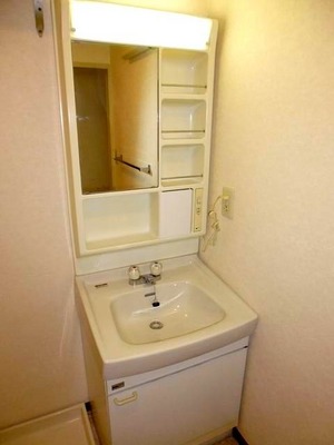 Washroom. Bathroom vanity