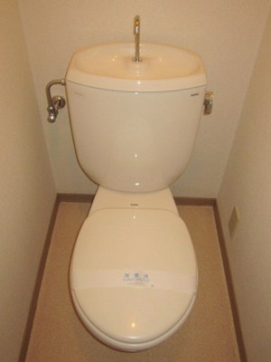 Toilet. Toilet