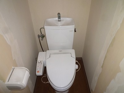 Toilet. Toilet