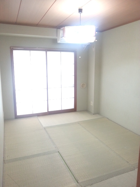 Other room space. Japanese style room