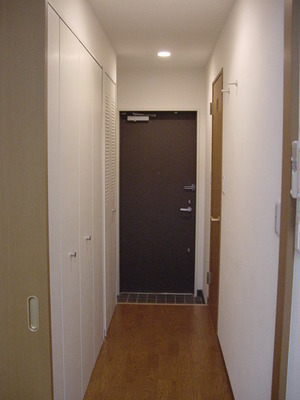 Entrance. Hallway and the front door