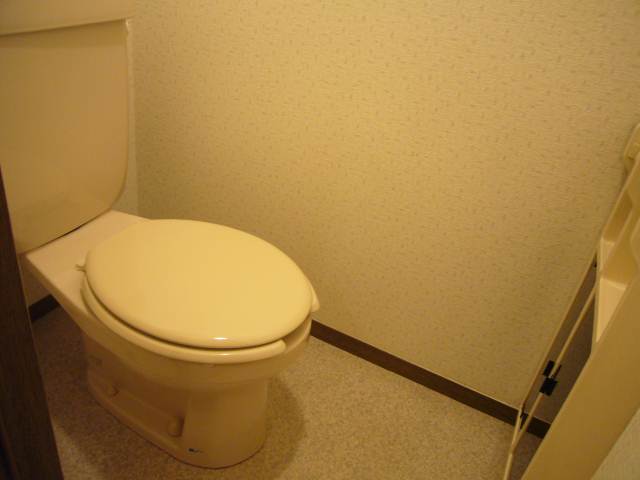 Toilet. Same property, It is a photograph of another room