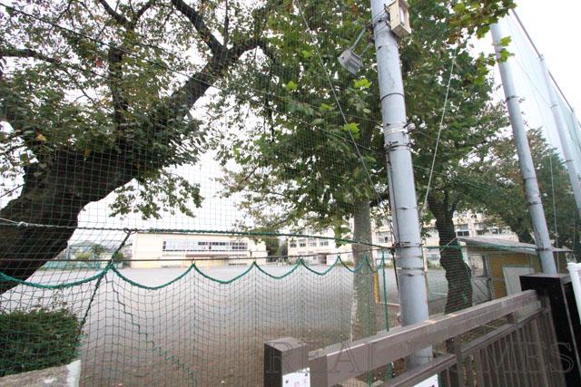 Primary school. 550m up to elementary school Nerima Tatsuta pattern