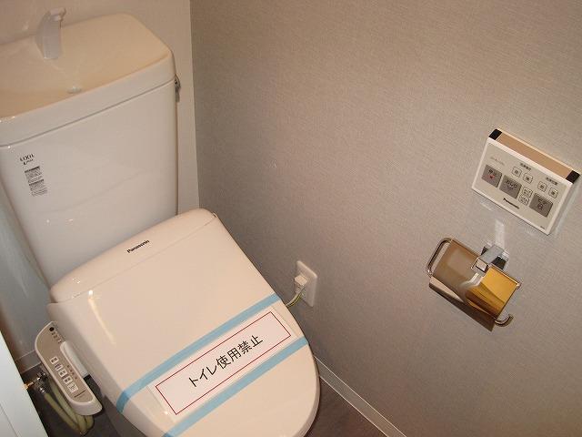 Toilet. Toilet