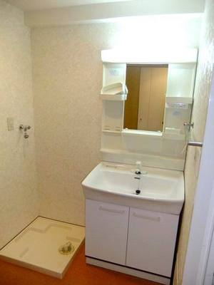 Washroom. Vanity and Laundry Area