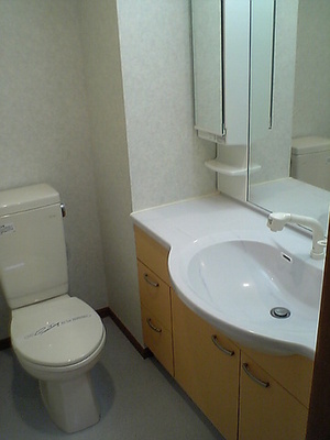 Washroom. Powder Room (three-sided mirror Shampoo dresser)