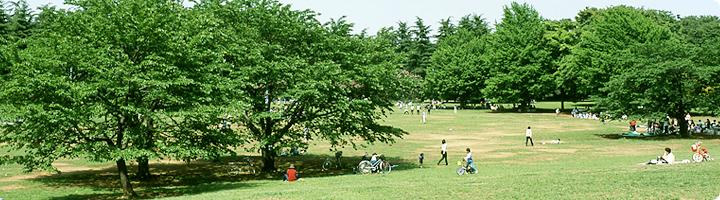 park. 10m to Hikarigaoka park