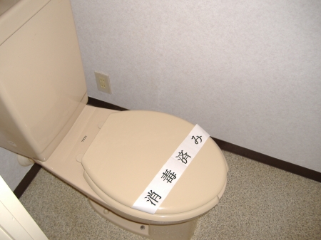 Toilet