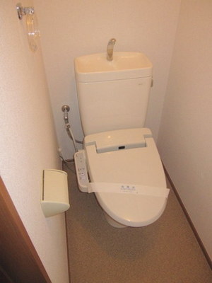 Toilet. Bidet with toilet