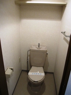 Toilet. Toilet