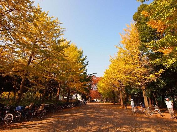 park. Johoku to Central Park 830m