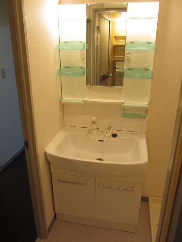 Washroom. Shampoo dresser