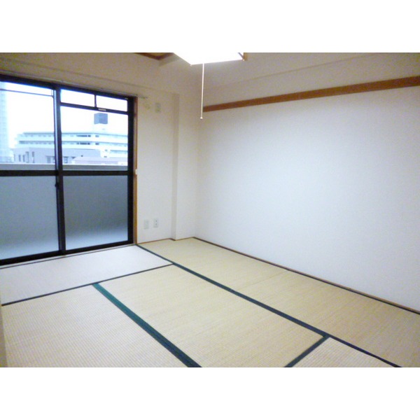 Other room space. Japanese style room