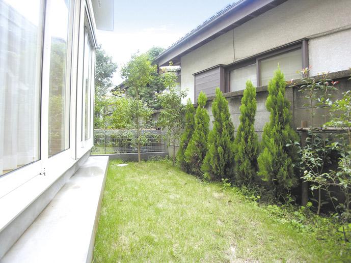 Garden. South garden