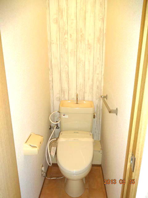 Toilet. With cleaning toilet seat