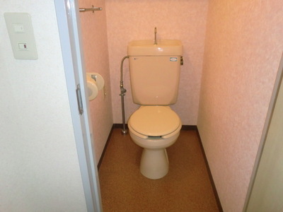 Toilet. Toilet