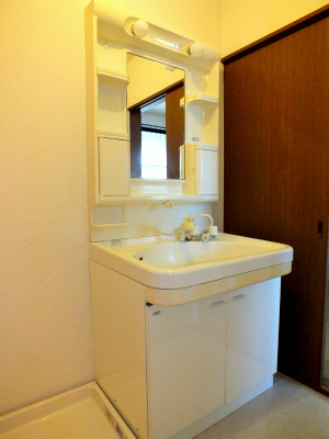 Washroom. Shampoo dresser