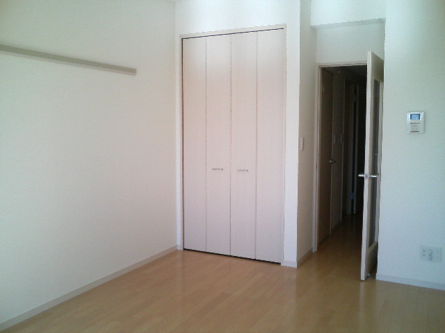 Other. Is a closet type of storage. 