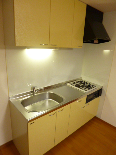 Kitchen. With a two-burner gas stove grill