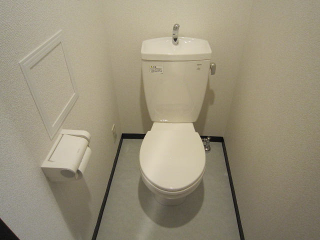 Toilet. Western-style type of toilet