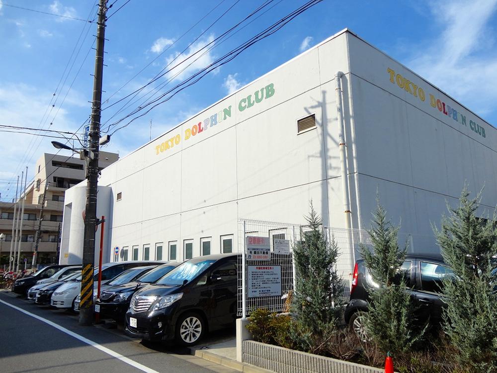 Other. Tokyo Dolphin Club
