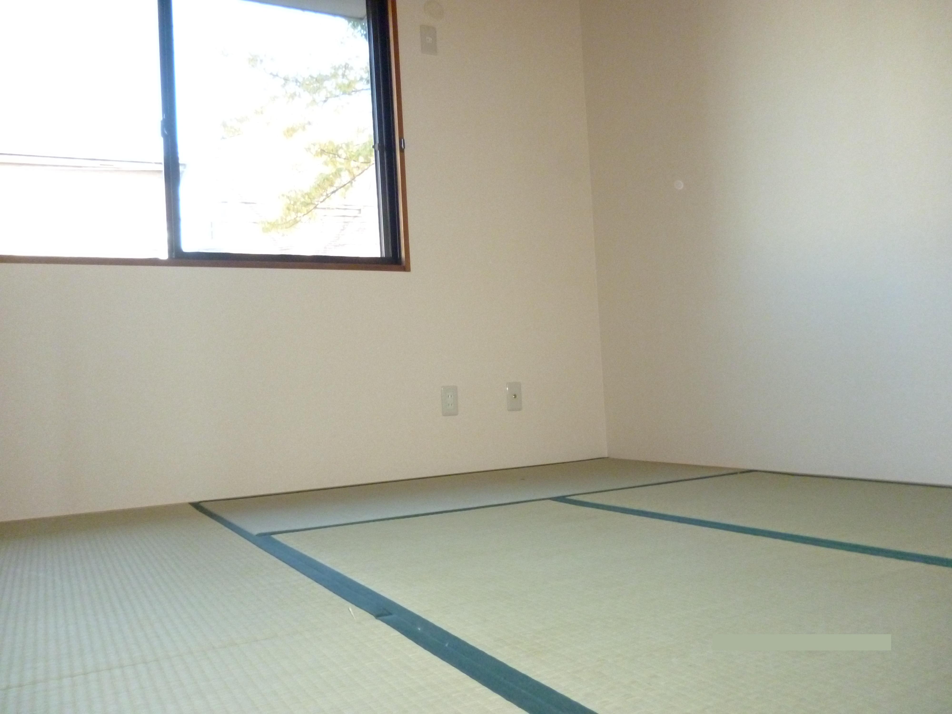 Living and room. Japanese style room