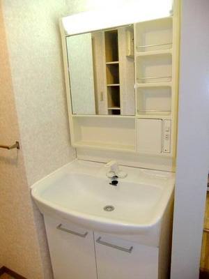 Washroom. Bathroom vanity