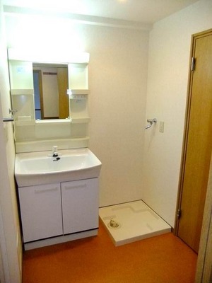 Washroom. Vanity and Laundry Area