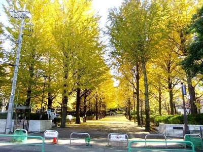 park. 10m to Tokyo Metropolitan Johoku Central Park (park)