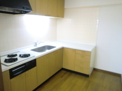 Kitchen. System kitchen