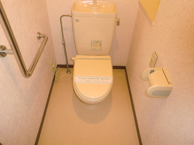 Toilet