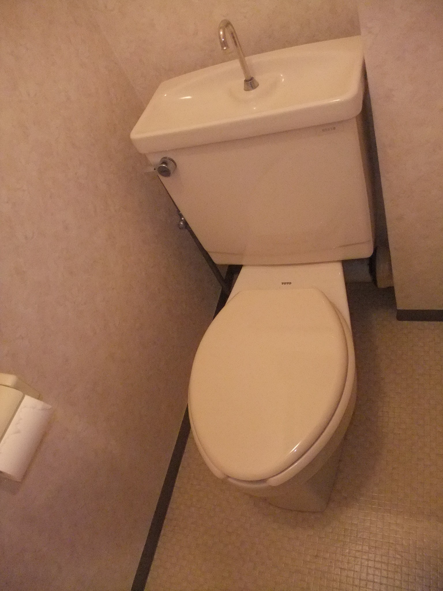 Toilet