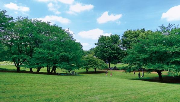 Other. Hikarigaoka park