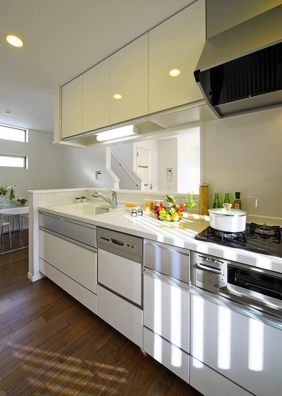 Same specifications photo (kitchen). Kitchen with dishwasher