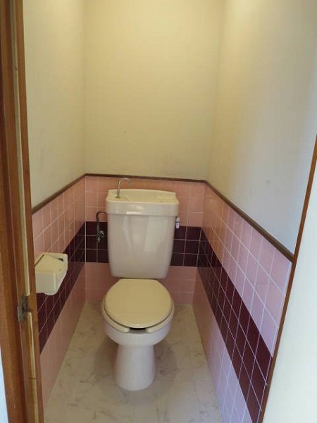 Other. Toilet