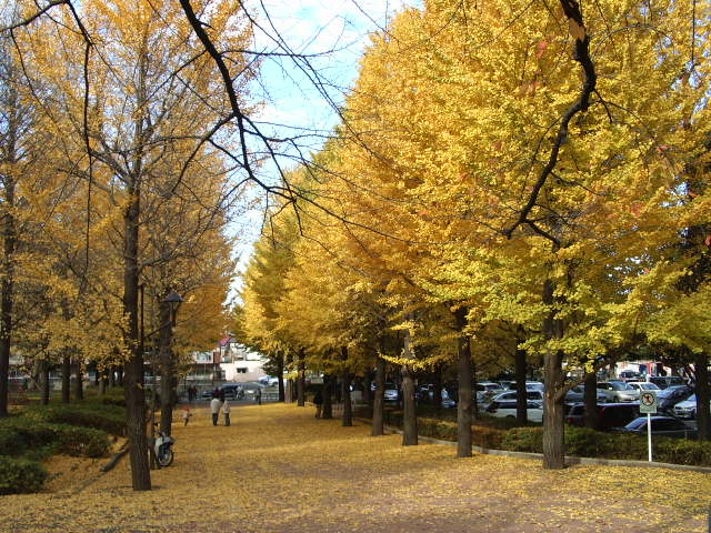 Other. Johoku park