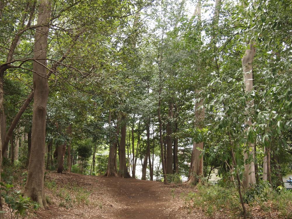 park. 400m to the forest of Inariyama rest