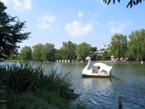 Other. Shakujii Park