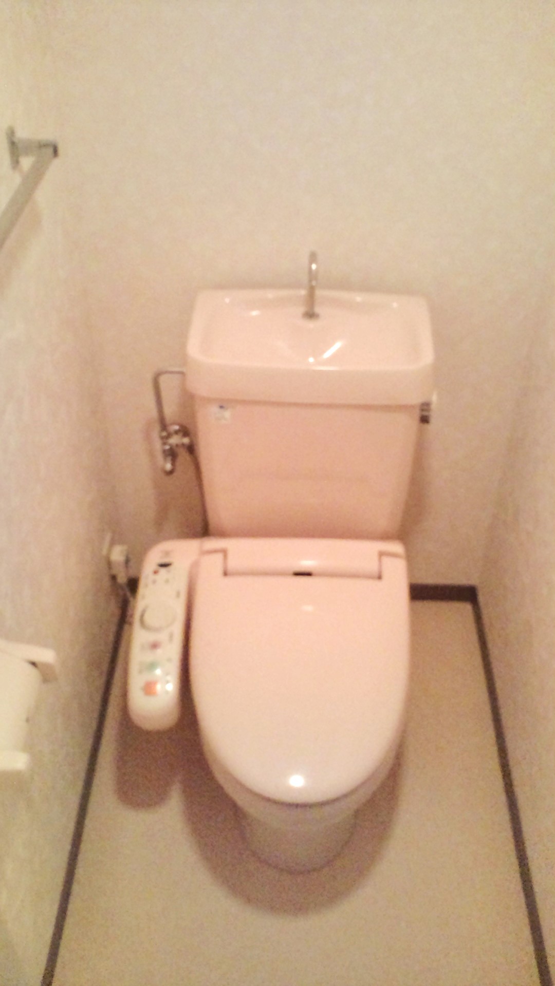 Toilet. Bidet