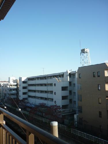 Balcony. Veranda