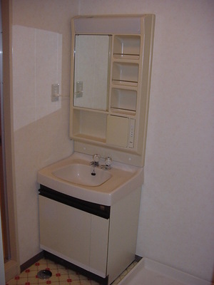 Washroom. Bathroom vanity