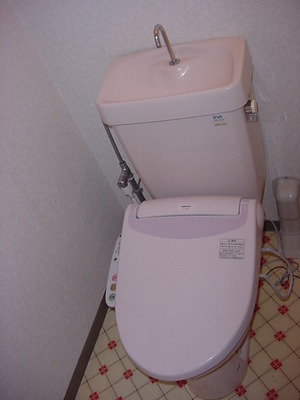 Toilet. Cleaning function toilet seat