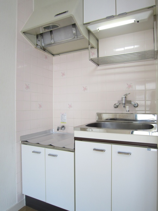 Kitchen. Two-burner gas stove installation Allowed