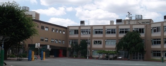 Primary school. Young plants until elementary school (elementary school) 783m