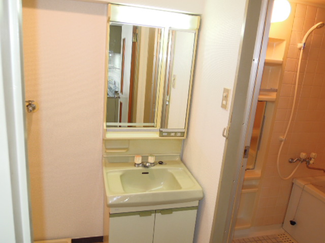 Washroom. Vertical lighting with separate wash basin (see photo)