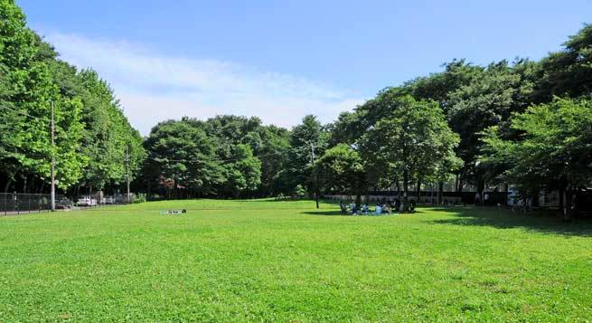 park. Johoku Central Park