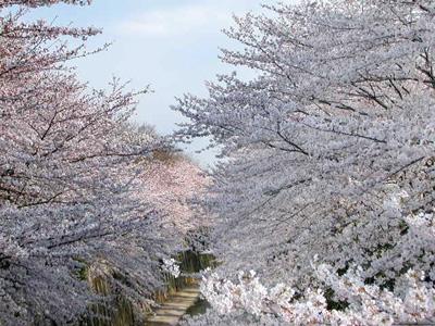 park. 322m to a high Inari park